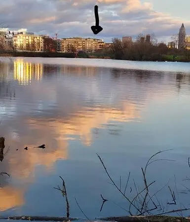 Family Castle In Frankfurt Near Messe